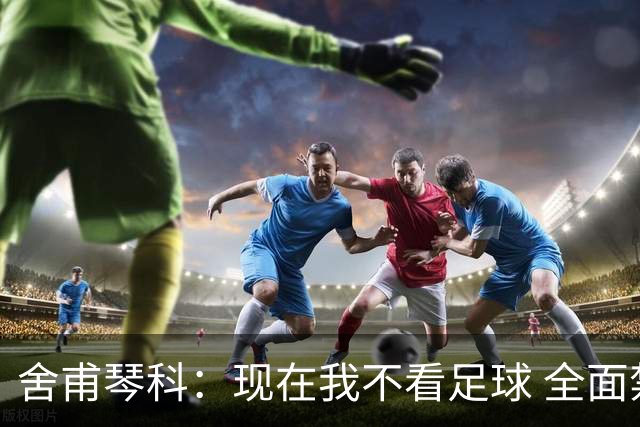 舍甫琴科：现在我不看足球 全面禁赛俄罗斯很正确